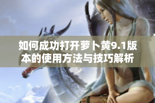 如何成功打开萝卜黄9.1版本的使用方法与技巧解析