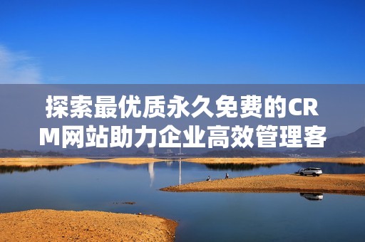 探索最优质永久免费的CRM网站助力企业高效管理客户关系