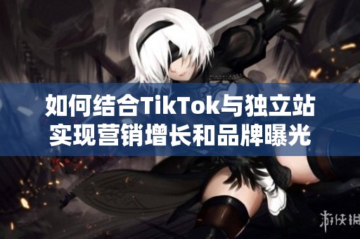 如何结合TikTok与独立站实现营销增长和品牌曝光