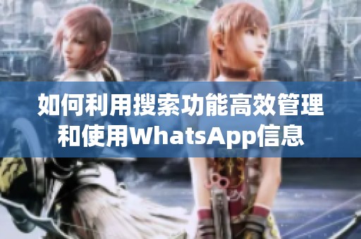 如何利用搜索功能高效管理和使用WhatsApp信息