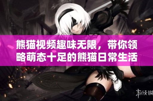 熊猫视频趣味无限，带你领略萌态十足的熊猫日常生活