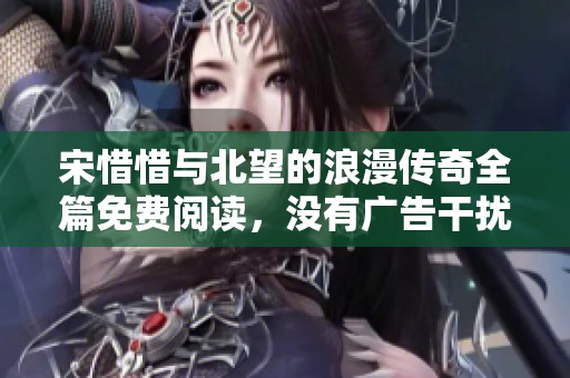 宋惜惜与北望的浪漫传奇全篇免费阅读，没有广告干扰