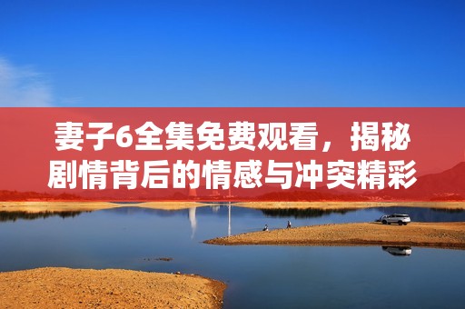 妻子6全集免费观看，揭秘剧情背后的情感与冲突精彩纷呈