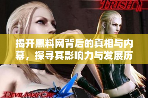 揭开黑料网背后的真相与内幕，探寻其影响力与发展历程