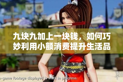 九块九加上一块钱，如何巧妙利用小额消费提升生活品质