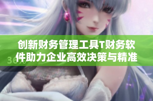 创新财务管理工具T财务软件助力企业高效决策与精准分析