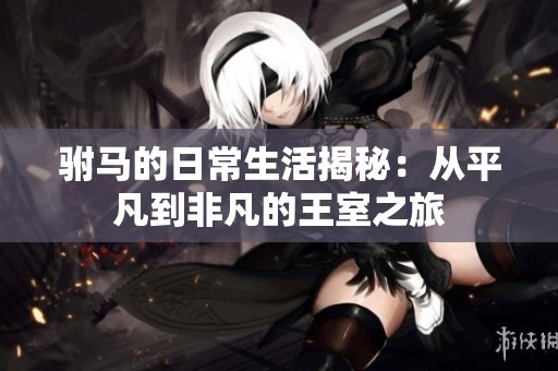 驸马的日常生活揭秘：从平凡到非凡的王室之旅